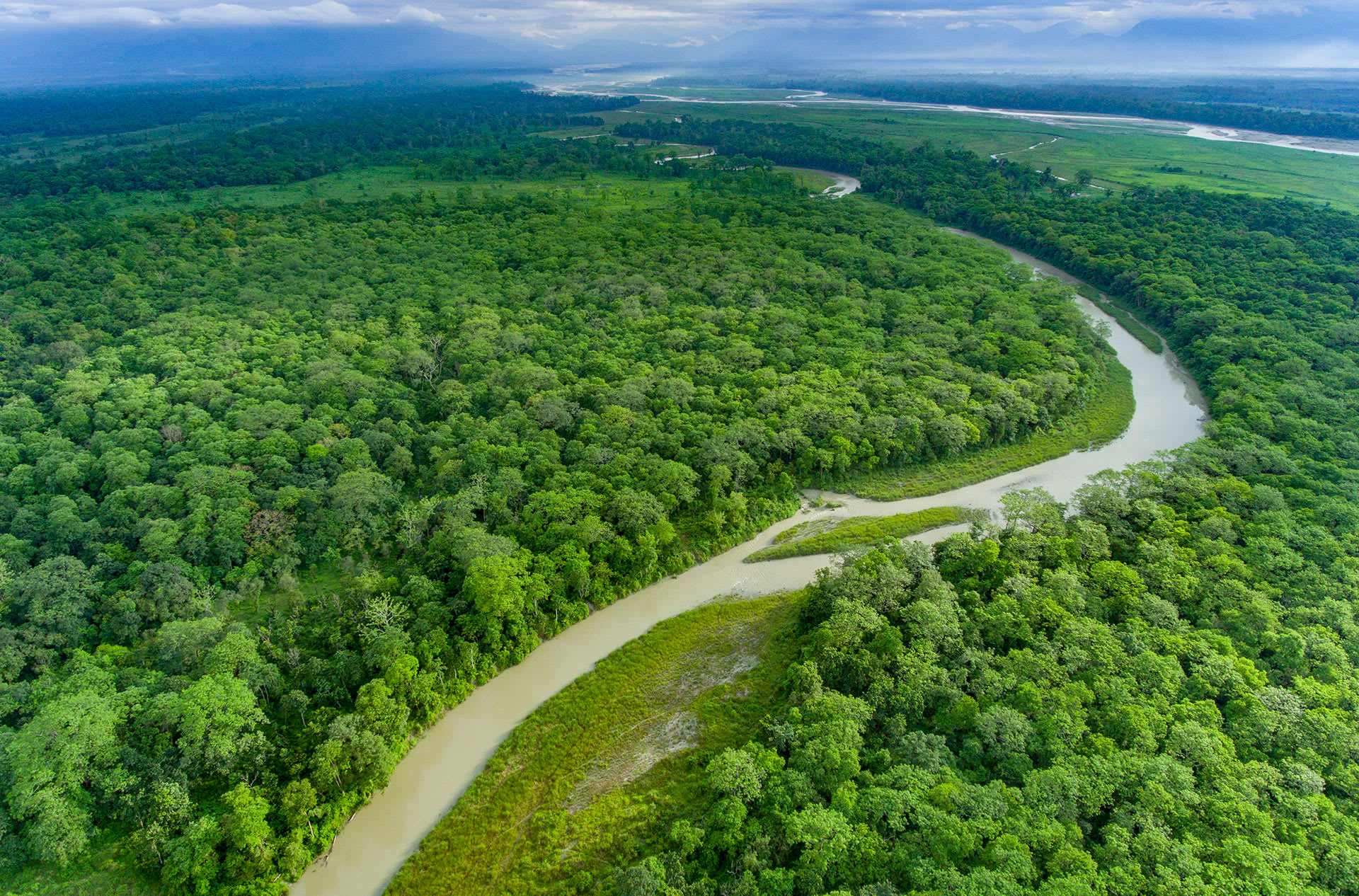 Jaldapara National Park