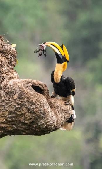 Travel photo